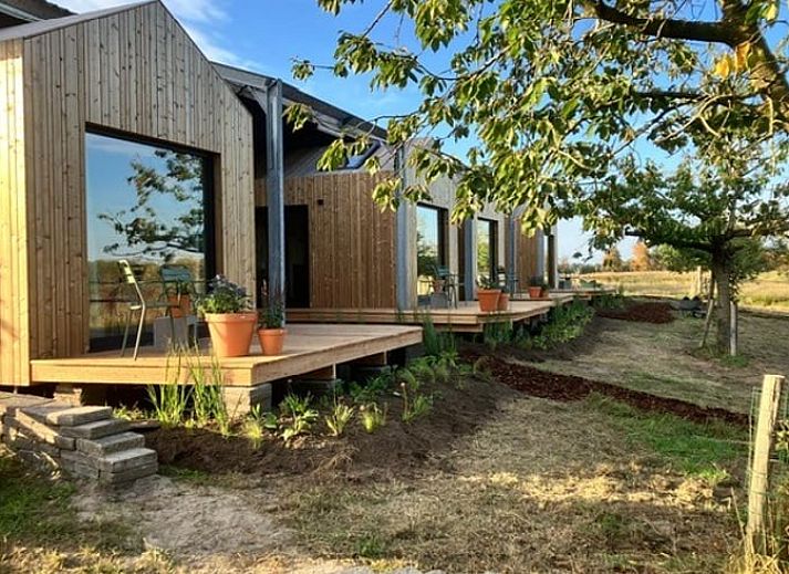 Guest house 521831 - Holiday property Twente - Vakantiehuisje in Rijssen