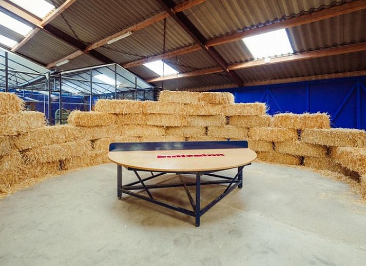 Gezellige woonkamer in Huisje in Rijssen, vakantiehuis in Twente, Overijssel met kleurrijke inrichting en uitzicht op de groene natuur.