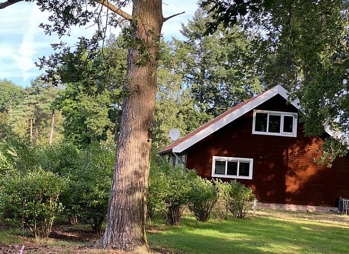 Vakantiehuis in Ambt Delden, Twente, omringd door groene natuur en rustieke charme.