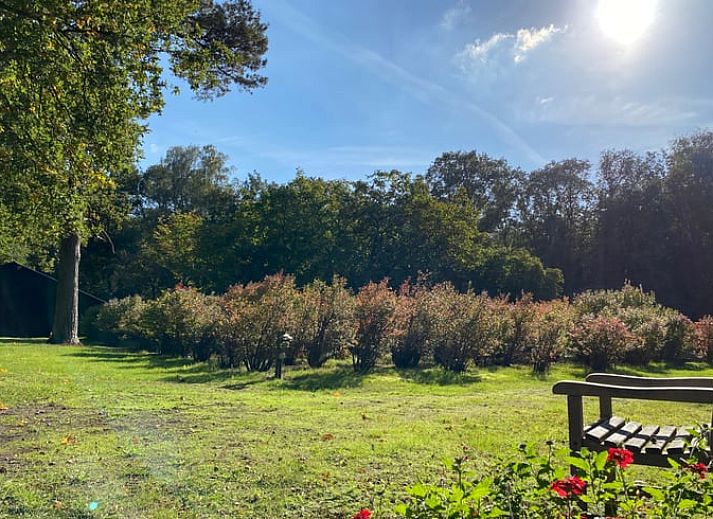 Vakantiehuis in Ambt Delden, Twente, omringd door groene natuur en rustieke charme.