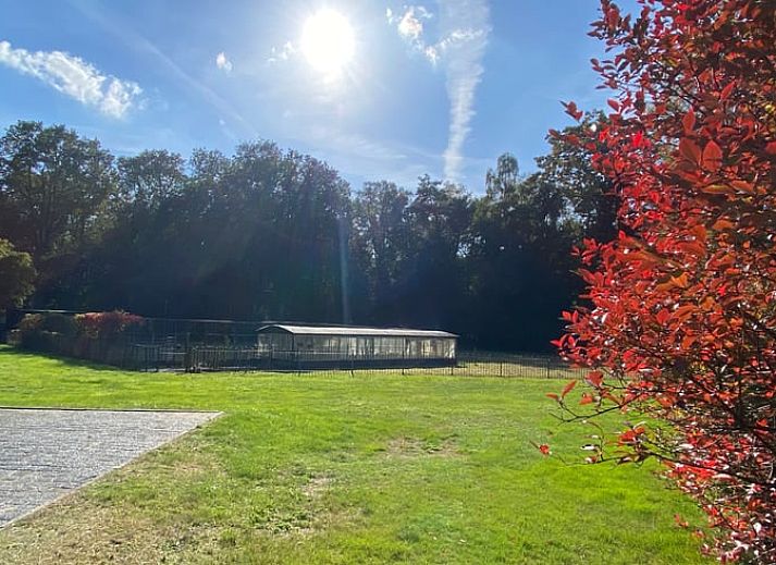 Zonnig terras bij Vakantiehuis in Ambt Delden, perfect voor ontspanning in Twente, Overijssel.
