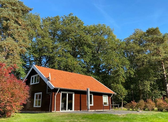 Zonnig terras bij Vakantiehuis in Ambt Delden, perfect voor ontspanning in Twente, Overijssel.