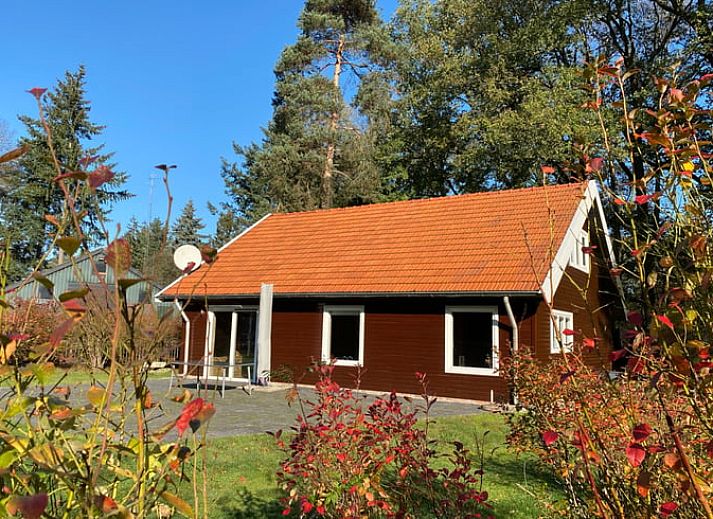 Zonnig terras bij Vakantiehuis in Ambt Delden, perfect voor ontspanning in Twente, Overijssel.