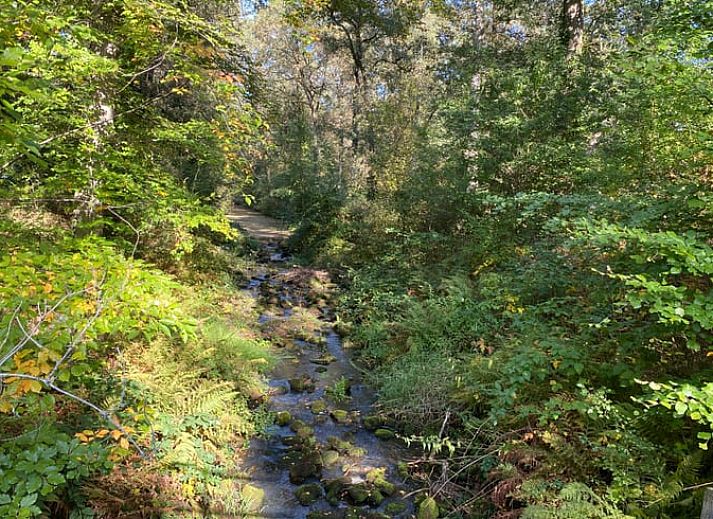 Rustieke tuin met bankje bij Vakantiehuis in Ambt Delden, omgeven door natuur in Twente.