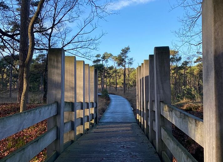 Gezellige binnenruimte met boekenkast in Vakantiehuis in Ambt Delden, Twente, Overijssel.