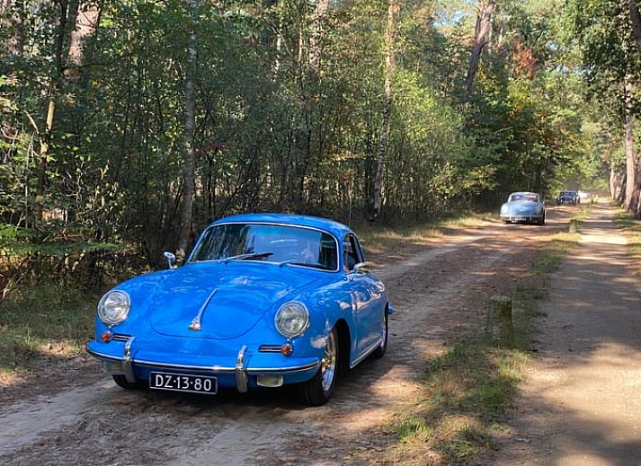 Gezellige binnenruimte met boekenkast in Vakantiehuis in Ambt Delden, Twente, Overijssel.