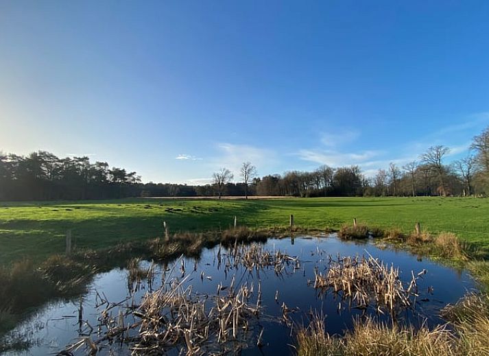 Gezellige binnenruimte met boekenkast in Vakantiehuis in Ambt Delden, Twente, Overijssel.