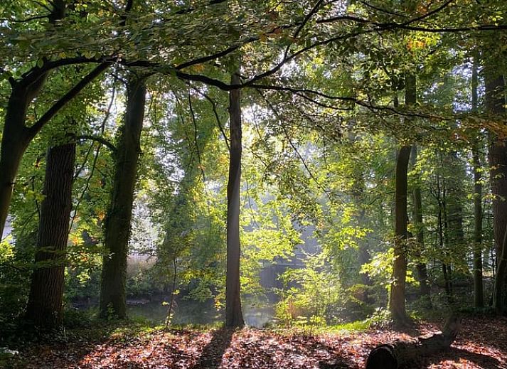 Uitgestrekt groen landschap bij Vakantiehuis in Ambt Delden, ideaal voor natuurliefhebbers.
