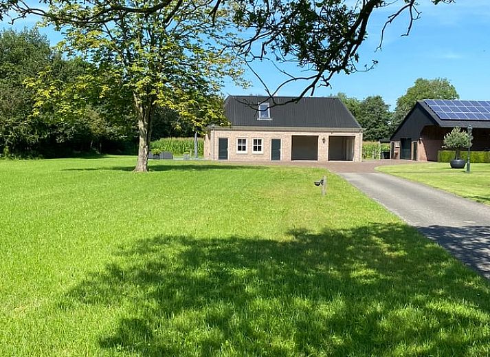 Vacation home in Ambt Delden, Twente, with olive tree on green garden in Overijssel.