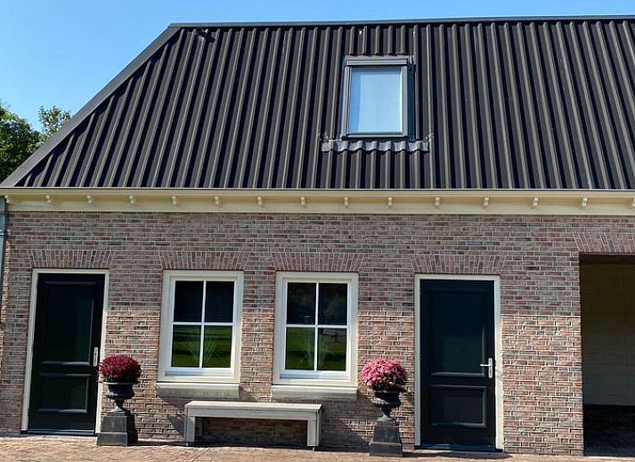 Vacation home in Ambt Delden, Twente, with olive tree on green garden in Overijssel.