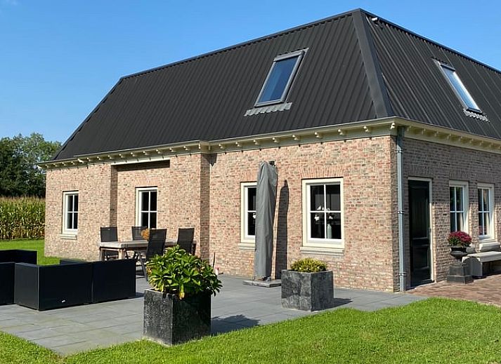 Vacation home in Ambt Delden, Twente, with olive tree on green garden in Overijssel.