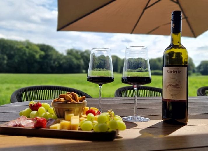 Vacation home in Ambt Delden with terrace and garden in Twente, Overijssel