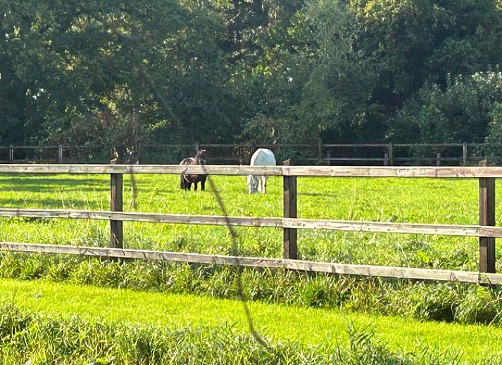 Unterkunft 521926 - Ferienhaus Twente - Huisje in Ambt Delden