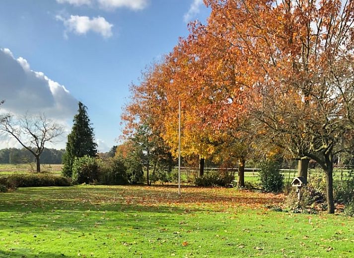 Unterkunft 521926 - Ferienhaus Twente - Huisje in Ambt Delden