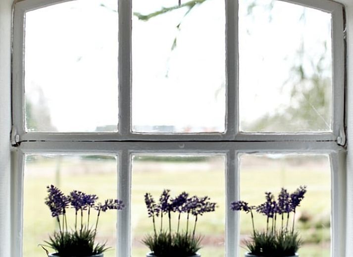 Pittoresk uitzicht op de omgeving van Huisje in Rossum in Twente, Overijssel.