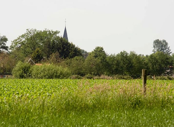 Gezellig terras bij Huisje in Rossum, omgeven door herfstbladeren in Twente, Overijssel.