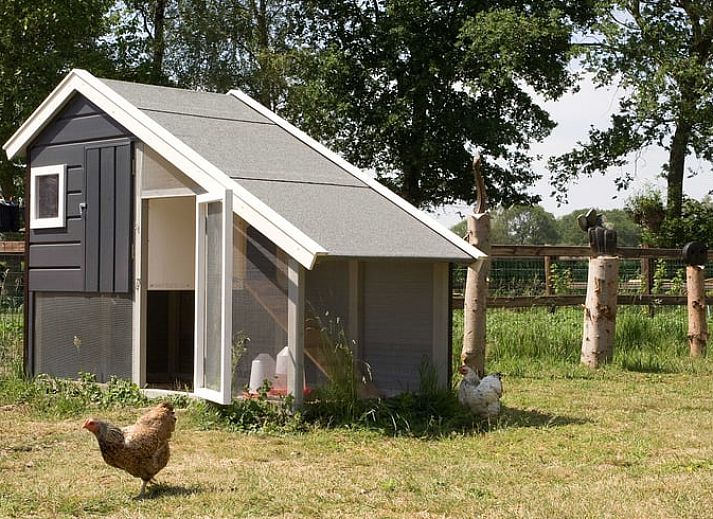 Modern kitchen in Cottage in Rossum, vacation home in Twente, Overijssel.