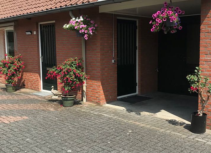 Cottage in Rossum, vacation home in Twente, enjoy the serene nature with grazing cows in the area of Overijssel.