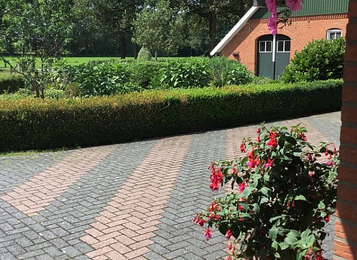 Cottage in Rossum, vacation home in Twente, view of green fields with cows, perfect for nature lovers in Overijssel.