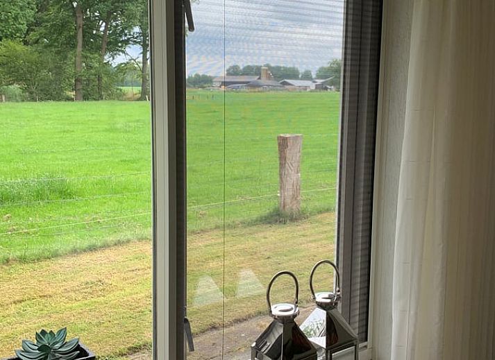 Cottage in Rossum, vacation home in Twente, rural charm with grazing cows near Overijssel.