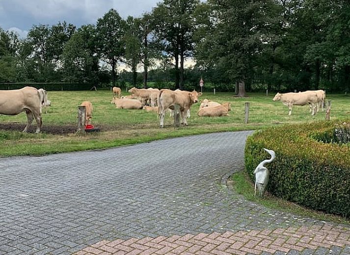 Cottage in Rossum, vacation home in Twente, attractive exterior with bricks and greenery in Overijssel.