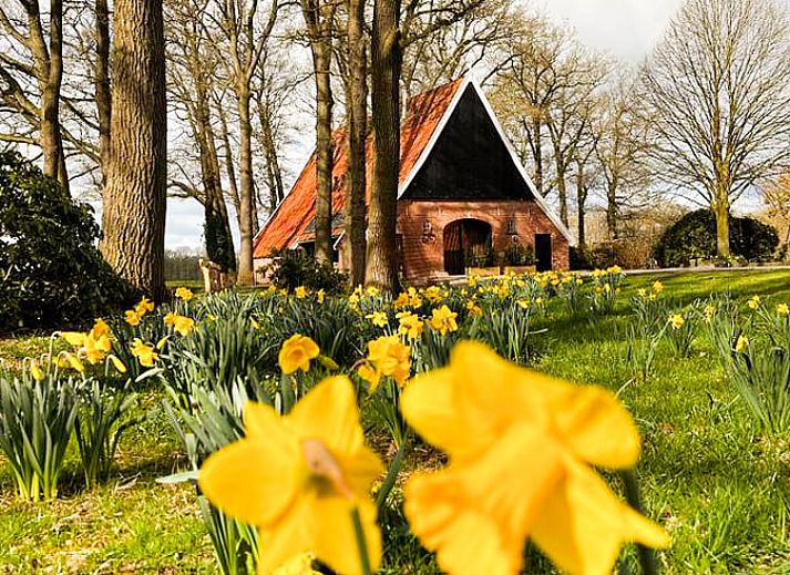 Bedroom of Huisje in Rossum, vacation home in Twente, Overijssel, with modern interior and comfortable bed.