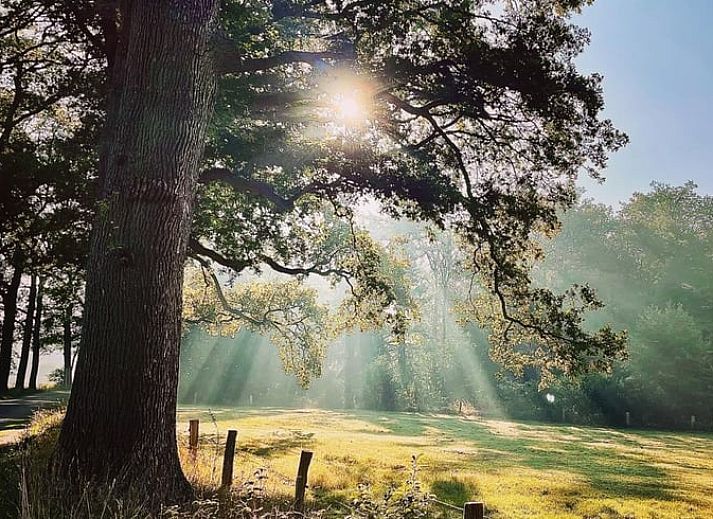Cozy living room of Huisje in Rossum, vacation home in Twente, Overijssel, with fireplace and comfortable seating.