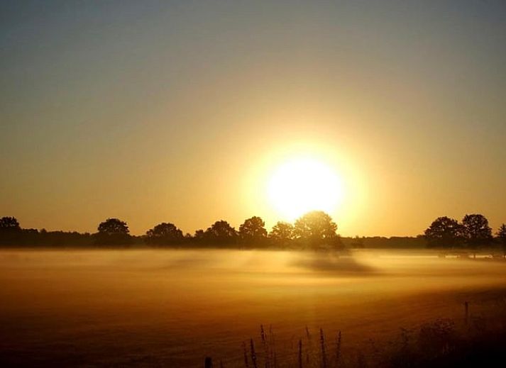 Exterior view of Cottage in Rossum, vacation home in Twente, Overijssel, surrounded by flowers and trees.