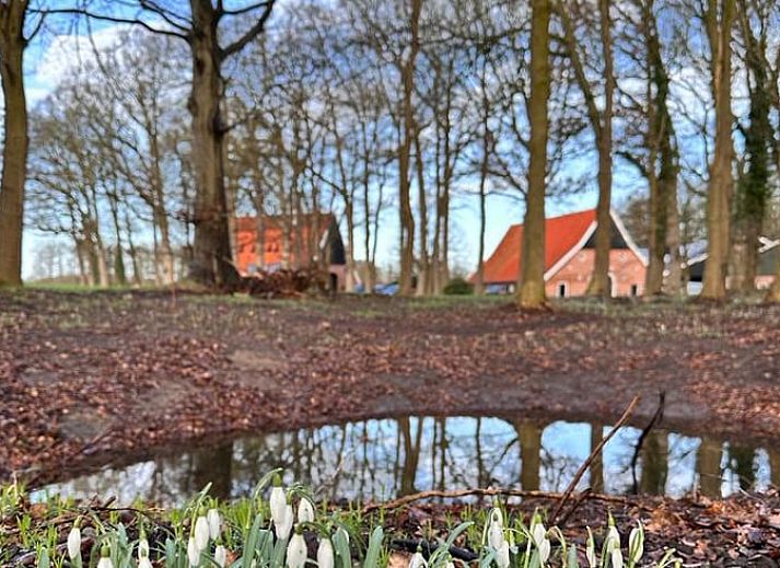 Exterior view of Cottage in Rossum, vacation home in Twente, Overijssel, surrounded by flowers and trees.