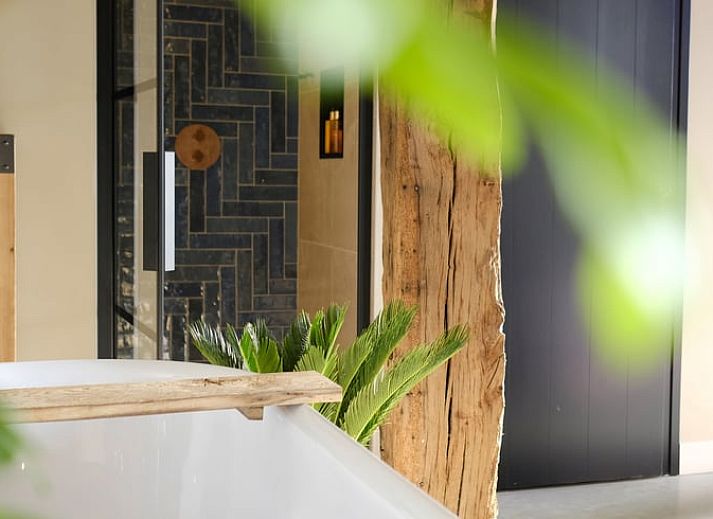 Stylish bathroom of Huisje in Rossum, vacation home in Twente, Overijssel, with wooden details and plants.