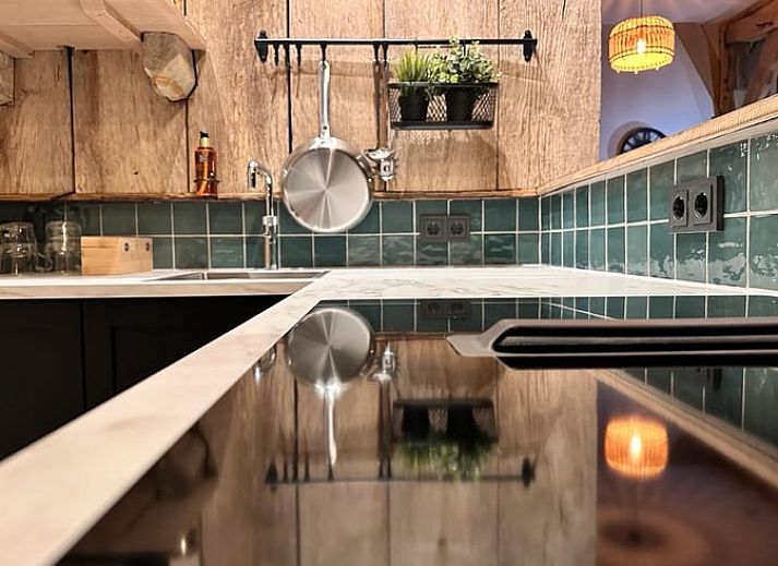 Aussenansicht des Ferienhauses in Rossum, Twente, umgeben von bluehenden Osterglocken und gruener Natur.