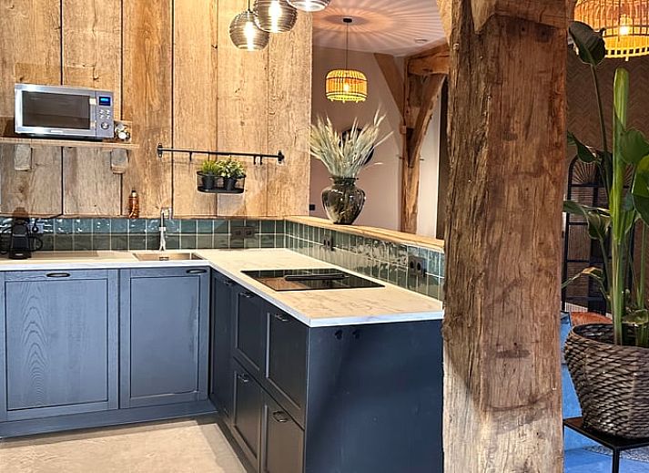 Aussenansicht des Ferienhauses in Rossum, Twente, umgeben von bluehenden Osterglocken und gruener Natur.