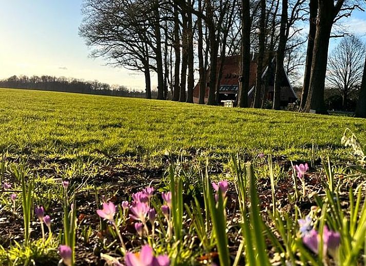 Entspannen Sie sich im Bad des Ferienhauses in Rossum, Twente, bei einer Tasse Tee und stimmungsvollem Ambiente.