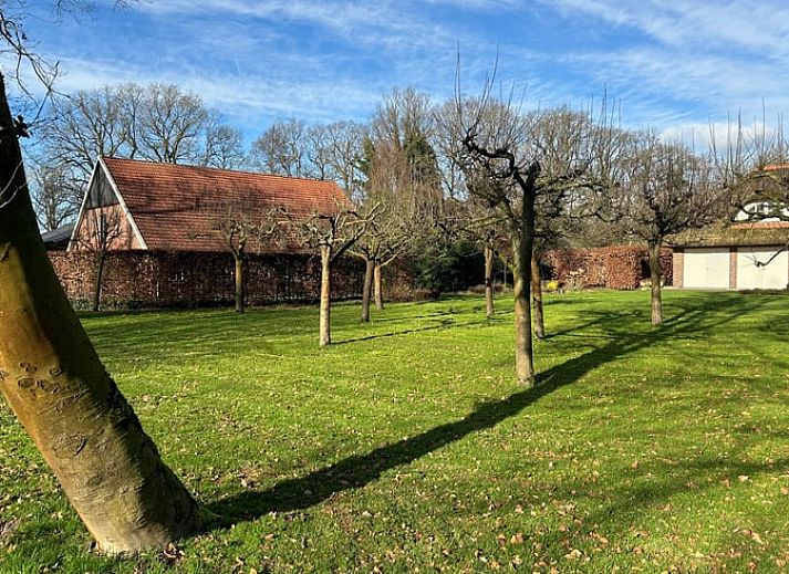 Cottage in Rossum, ein Ferienhaus in Twente, Overijssel, umgeben von einem gruenen Garten und einem Waldgebiet.