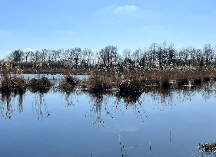 Unterkunft 522307 - Ferienhaus Twente - Huisje in Hengelo
