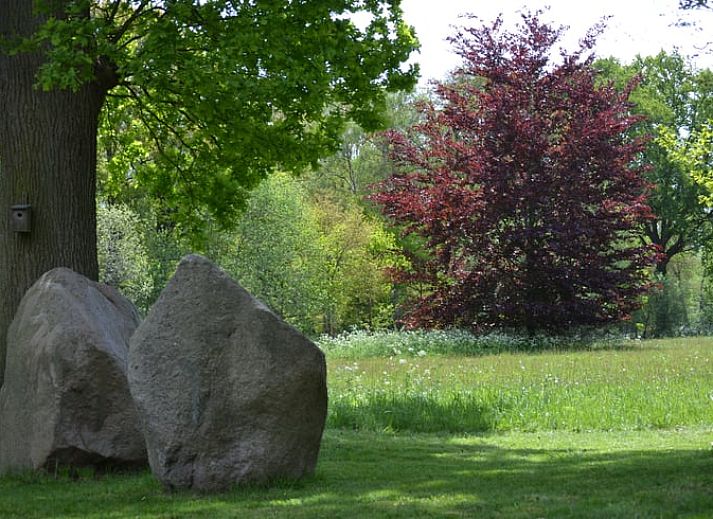 Comfortable sitting area in cottage Hengelo, Twente, with fireplace and wooden beams in Overijssel.