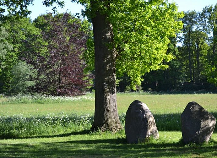 Comfortable sitting area in cottage Hengelo, Twente, with fireplace and wooden beams in Overijssel.