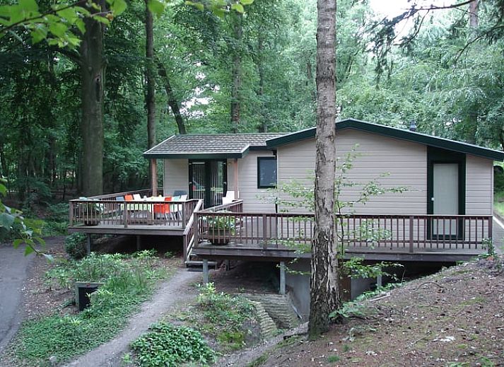 Vacation cottage in Haaksbergen offers a serene nature experience in Twente, Overijssel, with an inviting terrace surrounded by greenery.
