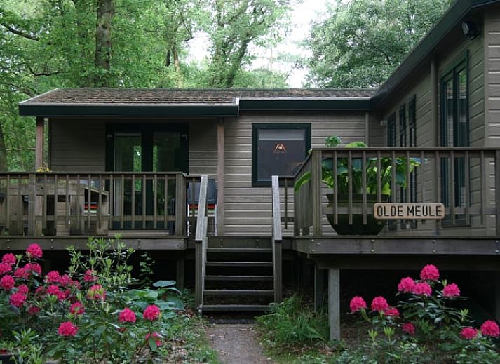 Vacation cottage in Haaksbergen offers a serene nature experience in Twente, Overijssel, with an inviting terrace surrounded by greenery.