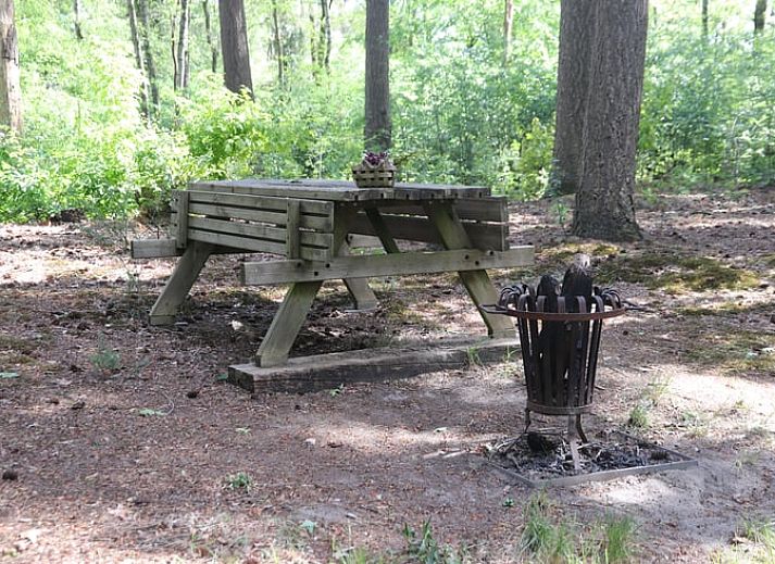 Vacation cottage in Haaksbergen, a charming vacation home in Twente, Overijssel, surrounded by green nature and colorful flowers.