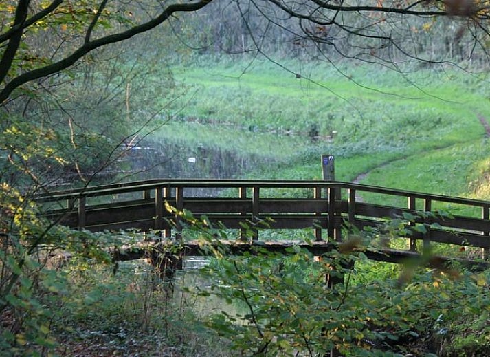 Vacation cottage in Haaksbergen, Twente with veranda surrounded by nature and flowers, ideal for a relaxing stay in Overijssel.