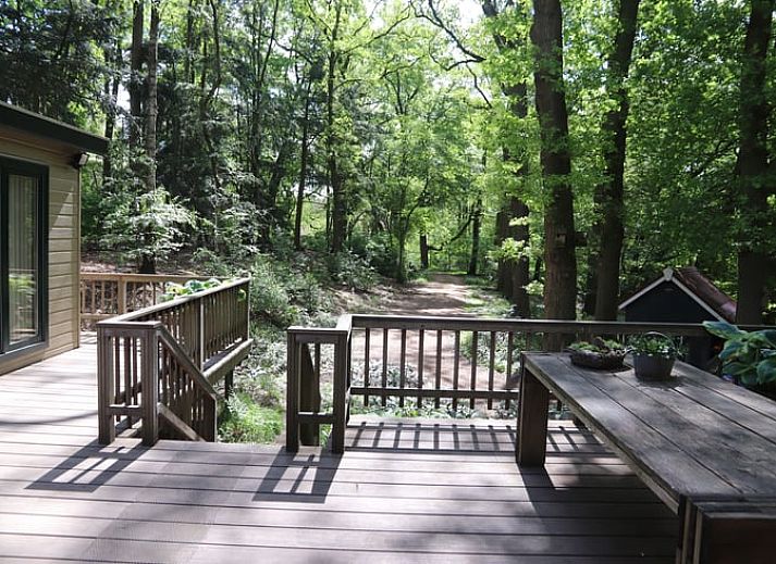 Vacation cottage in Haaksbergen, Twente with veranda surrounded by nature and flowers, ideal for a relaxing stay in Overijssel.