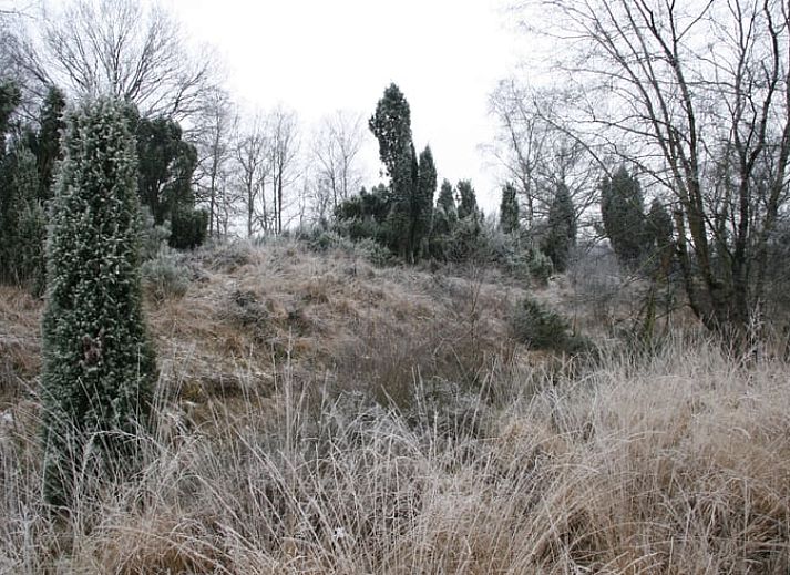 Cozy living room of Holiday Home in Haaksbergen, Twente with comfortable seating area and views of the nature of Overijssel.