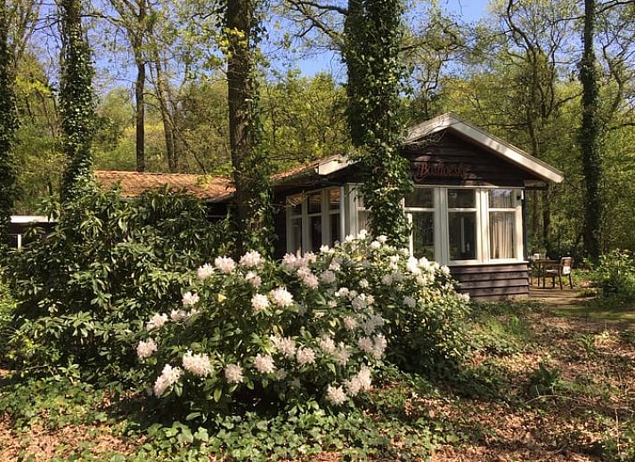 Verblijf 522414 • Vakantiewoning Twente • Natuurhuisje in Haaksbergen