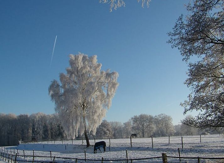 Gemuetliches Schlafzimmer im Ferienhaus in Haaksbergen, Twente. Ferienhaus mit rustikalem Charme in Overijssel, perfekt fuer einen erholsamen Aufenthalt.