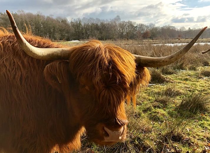 Gemuetliches Schlafzimmer im Ferienhaus in Haaksbergen, Twente. Ferienhaus mit rustikalem Charme in Overijssel, perfekt fuer einen erholsamen Aufenthalt.