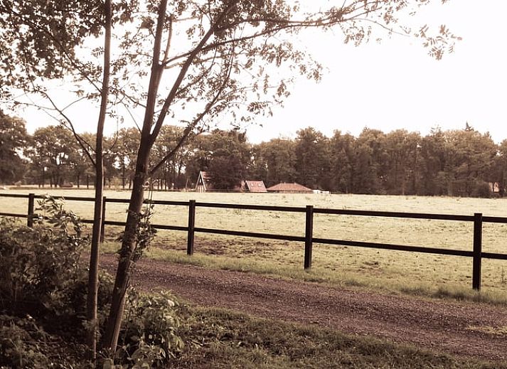 Modernes Badezimmer in Cottage in Haaksbergen, Ferienhaus in Twente, Overijssel mit Waschbecken und natuerlichem Licht durch grosse Fenster.