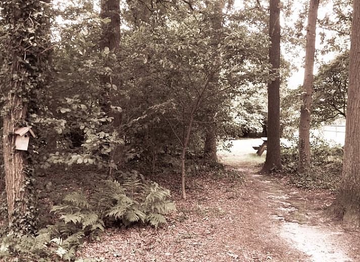 Modernes Badezimmer in Cottage in Haaksbergen, Ferienhaus in Twente, Overijssel mit Waschbecken und natuerlichem Licht durch grosse Fenster.