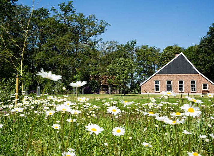 Discover Cottage in Haaksbergen, a cozy vacation home in Twente, Overijssel, surrounded by colorful flowers and green nature.