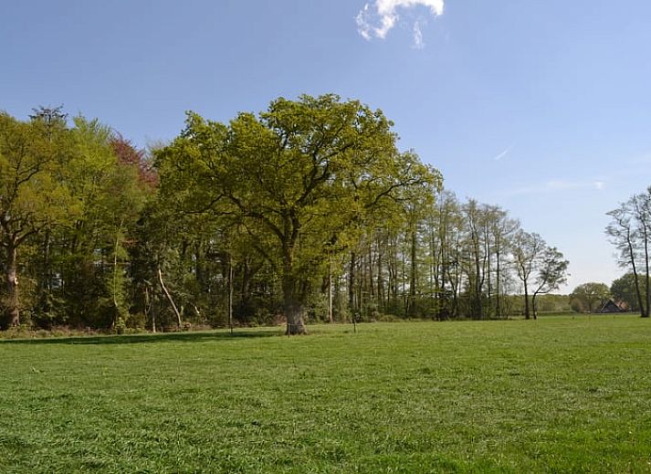 Discover Cottage in Haaksbergen, a cozy vacation home in Twente, Overijssel, surrounded by colorful flowers and green nature.